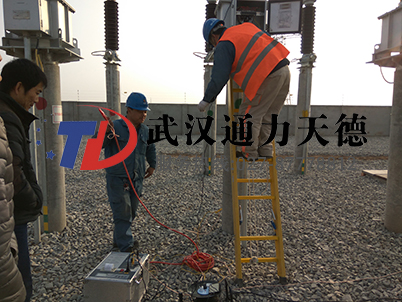江西贛州35KV風電廠電容式電壓互感器介（jiè）質損耗測（cè）試儀現場圖片