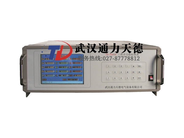 TD-3300B 三相多功(gōng)能標準表